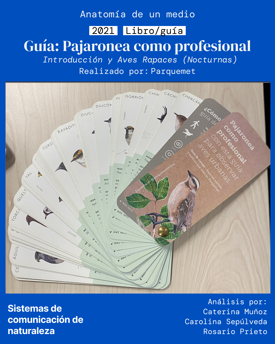 2021: Guía: Pajaronea como&nbsp;profesional